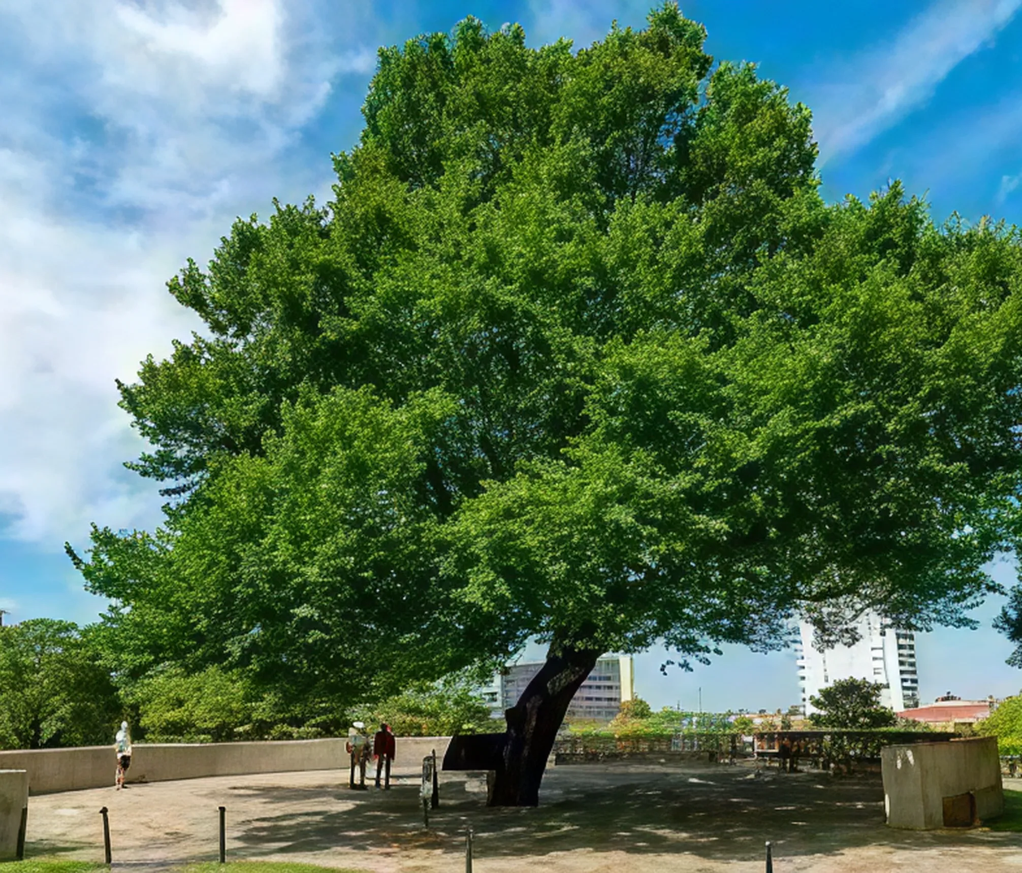 Edmond Psychiatric Associates - TMS Clinic in Edmond, OK
