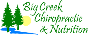 Brain Rehab logo