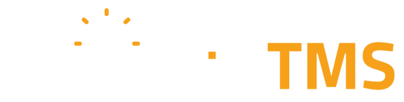 BrainStim TMS logo