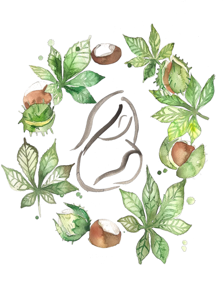 Chestnut Services logo
