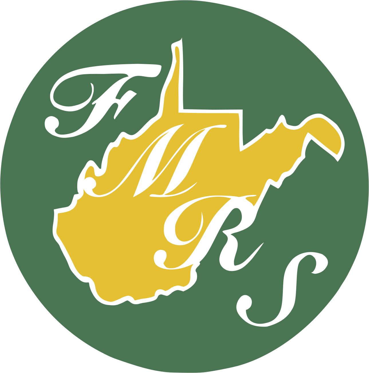 FMRS Health Systems Inc. logo