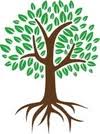 Masci Jarod S MD logo