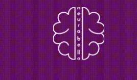Neurabello Brain Center