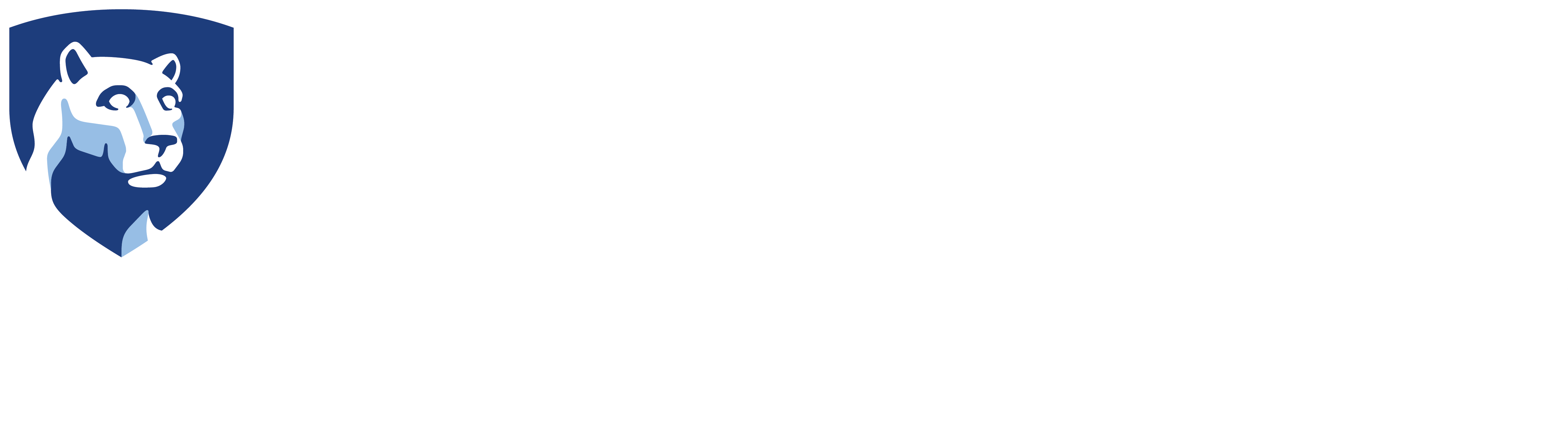 Pennsylvania Psychiatric Institute (PPI) logo