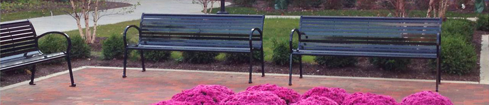Penn State Psychological Clinic logo