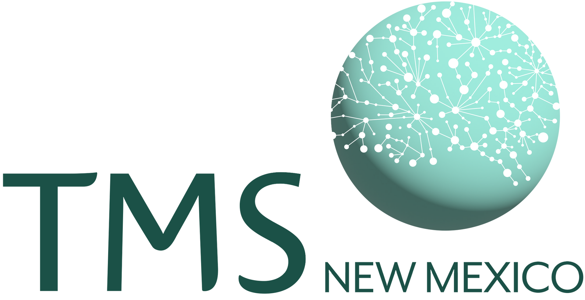 TMS New Mexico logo