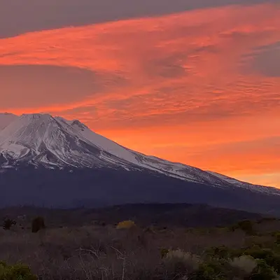 Nicholas Brown - TMS psychiatrist in Mt Shasta